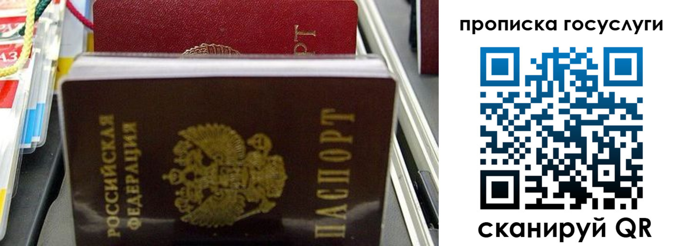 где прописаться в Дубне